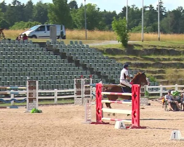 Reitturnier Kreuth/Opf. 2023