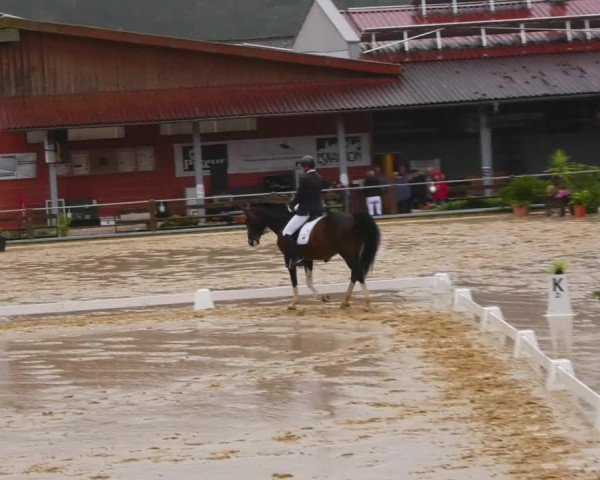 Reitturnier Uder, Reitanlage Kobold 2023