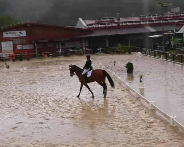 Reitturnier Uder, Reitanlage Kobold 2023