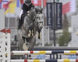 jumper Touman (Holsteiner, 2015, from Toulon)