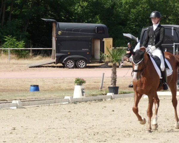 Reitturnier Heiligenwald 2023
