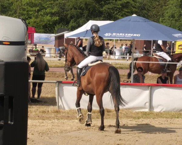Reitturnier Heiligenwald 2023