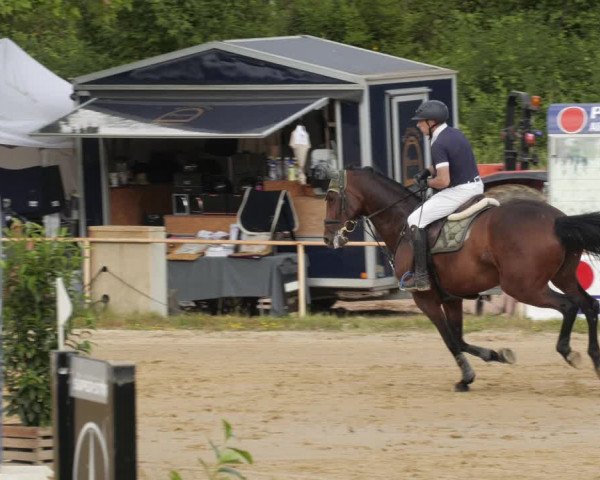 Reitturnier Heiligenwald 2023