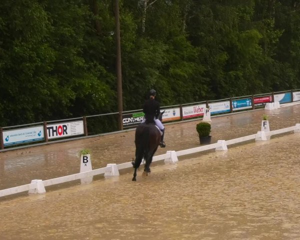 Reitturnier Uder, Reitanlage Kobold 2023