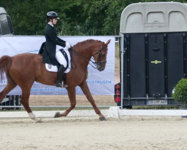 Reitturnier Heiligenwald 2023