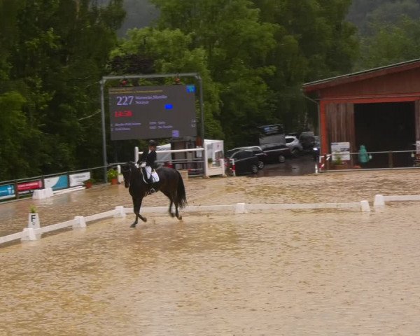 Reitturnier Uder, Reitanlage Kobold 2023