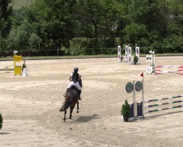 Reitturnier Maienfeld 2023