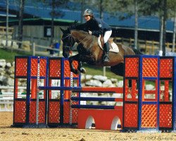 Springpferd Ton Altesse de Siju (Selle Français, 2007, von Kannan)