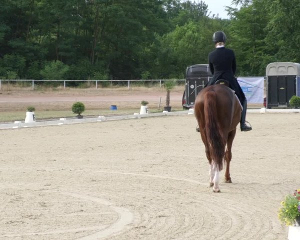 Reitturnier Heiligenwald 2023