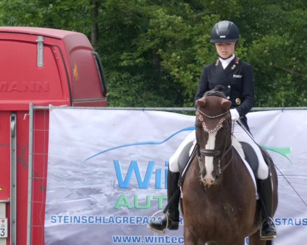 Reitturnier Heiligenwald 2023