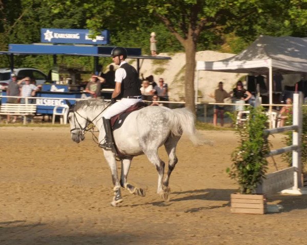 Reitturnier Heiligenwald 2023