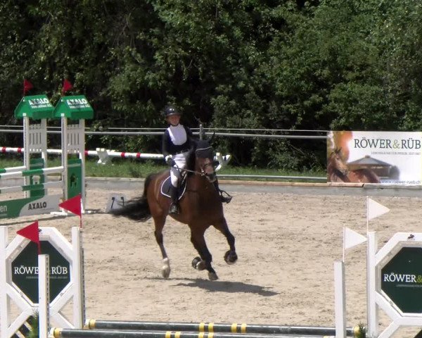 Reitturnier Maienfeld 2023