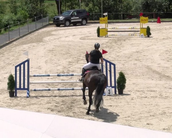 Reitturnier Maienfeld 2023