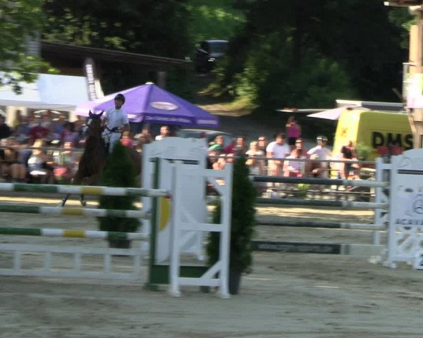 Reitturnier Schwerte 2023