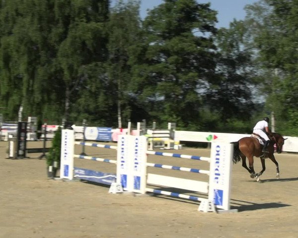 Reitturnier Schwerte 2023