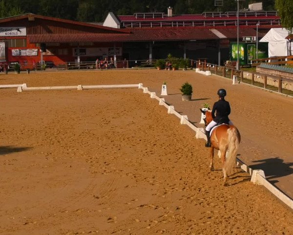 Reitturnier Uder, Reitanlage Kobold 2023