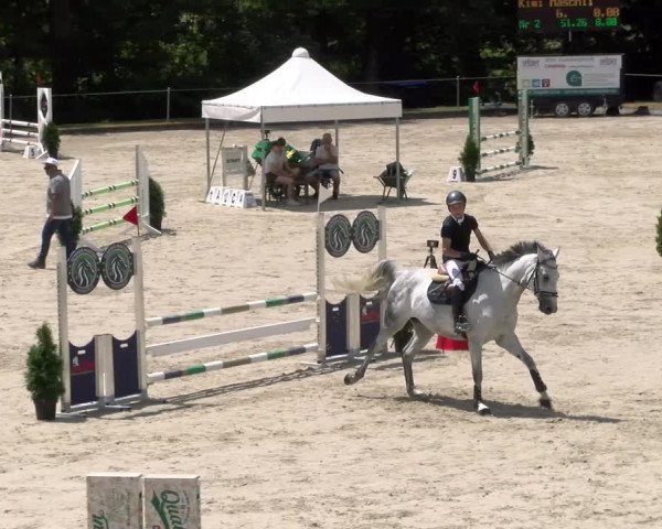 Reitturnier Maienfeld 2023