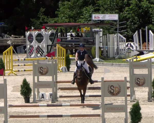 Reitturnier Maienfeld 2023