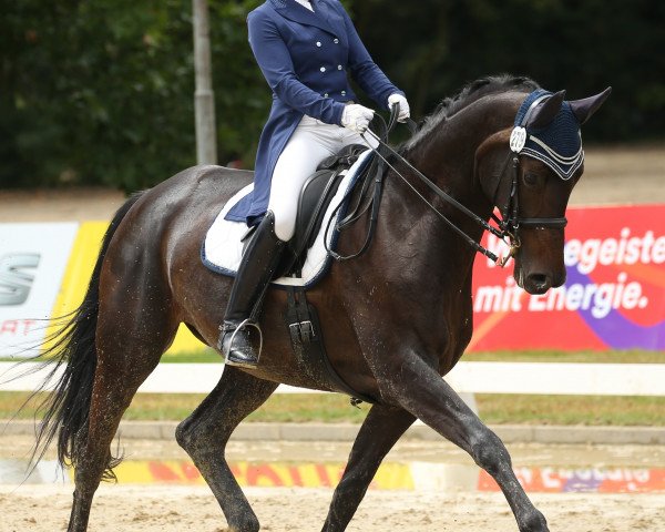 Claudia Gerdemann