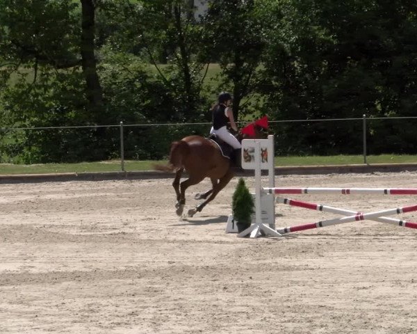 Reitturnier Maienfeld 2023