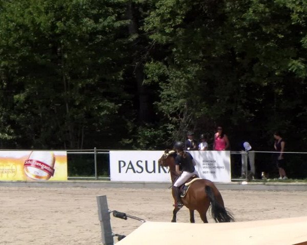 Reitturnier Maienfeld 2023