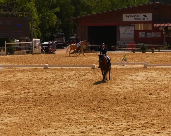 Reitturnier Uder, Reitanlage Kobold 2023