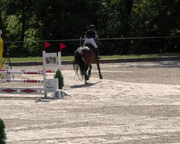 Reitturnier Maienfeld 2023