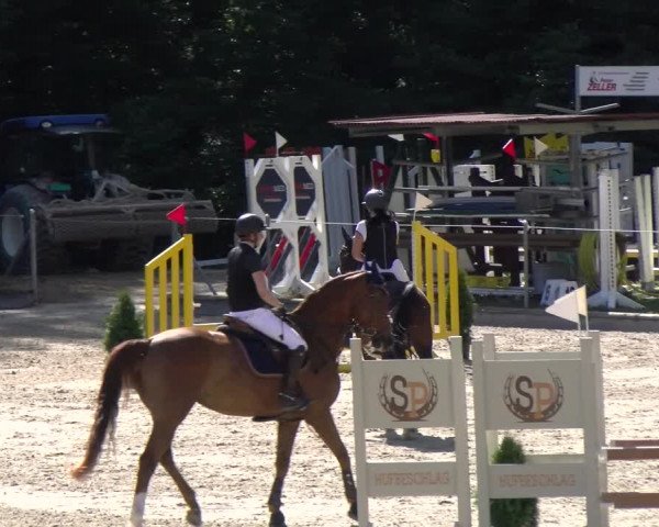 Reitturnier Maienfeld 2023