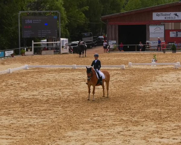 Reitturnier Uder, Reitanlage Kobold 2023