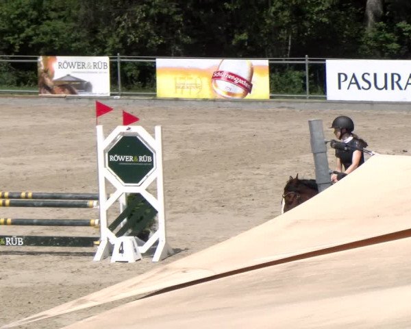 Reitturnier Maienfeld 2023