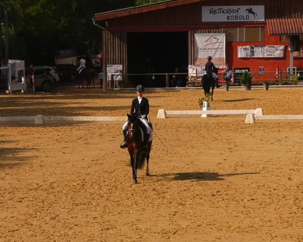 Reitturnier Uder, Reitanlage Kobold 2023