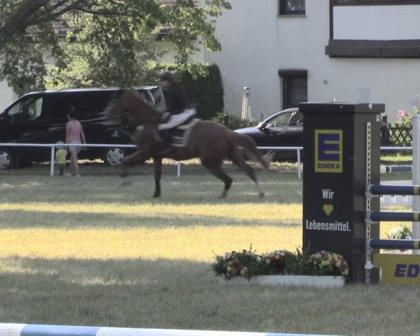 Reitturnier Schwittersdorf-Beesenstedt 2023