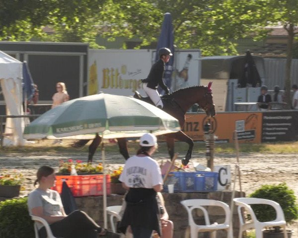 Reitturnier Heiligenwald 2023