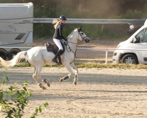 Reitturnier Heiligenwald 2023