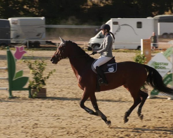 Reitturnier Heiligenwald 2023