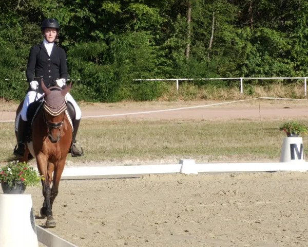 Reitturnier Heiligenwald 2023