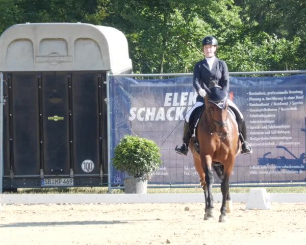 Reitturnier Heiligenwald 2023
