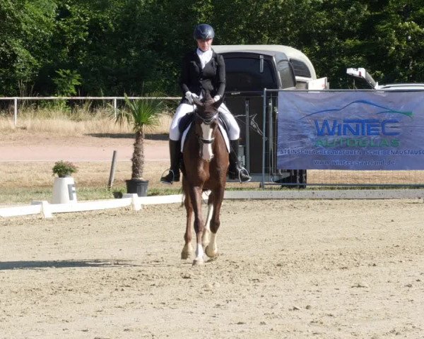 Reitturnier Heiligenwald 2023