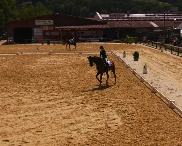 Reitturnier Uder, Reitanlage Kobold 2023