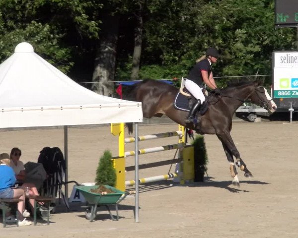 Reitturnier Maienfeld 2023