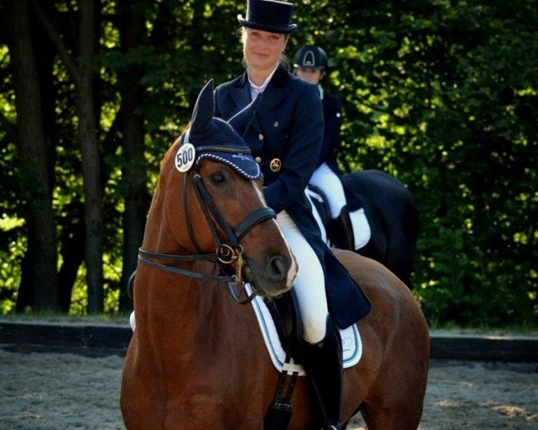 dressage horse Weasley 7 (Hanoverian, 2002, from Welser)