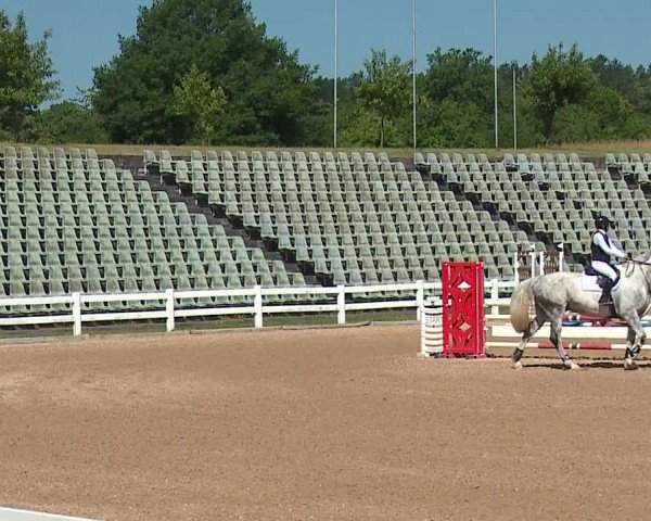 Reitturnier Kreuth/Opf. 2023