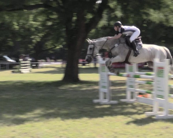 Reitturnier Schwittersdorf-Beesenstedt 2023
