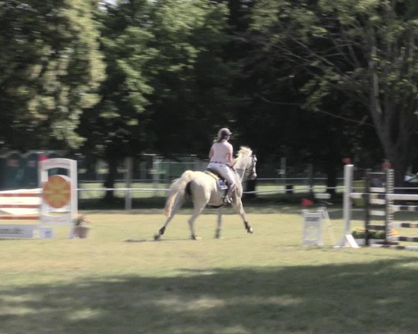 Reitturnier Schwittersdorf-Beesenstedt 2023