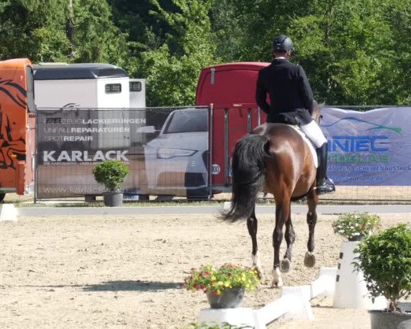 Reitturnier Heiligenwald 2023