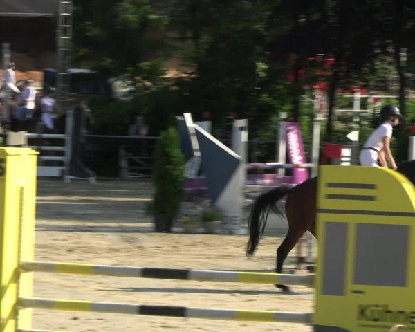 Reitturnier Schwerte 2023