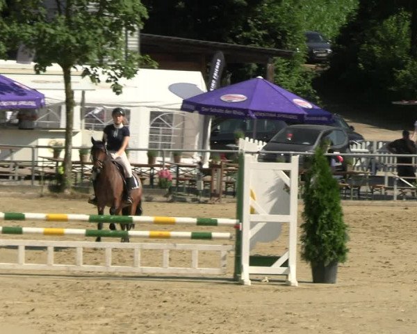 Reitturnier Schwerte 2023