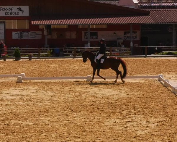 Reitturnier Uder, Reitanlage Kobold 2023