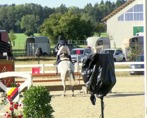 Reitturnier Isny-Rohrdorf 2021