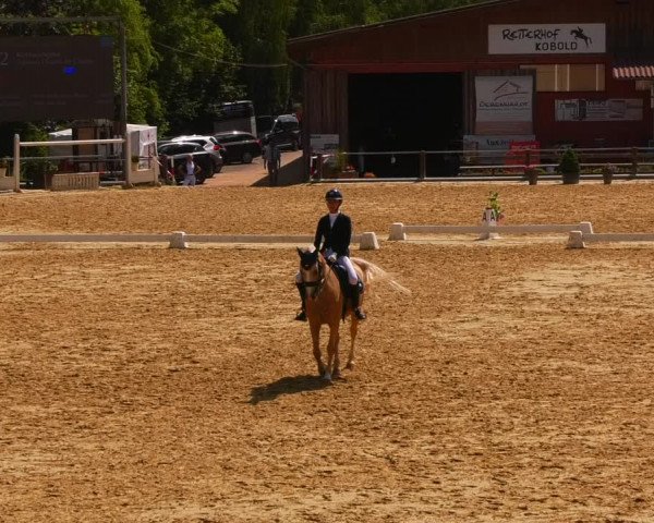 Reitturnier Uder, Reitanlage Kobold 2023